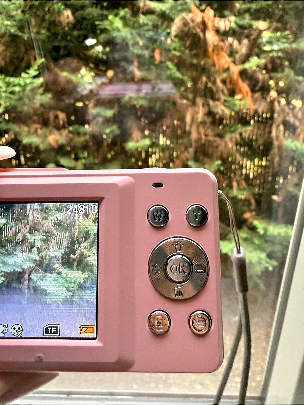 Pink 4.0 MP Digital Camera - Picture 4 of 5